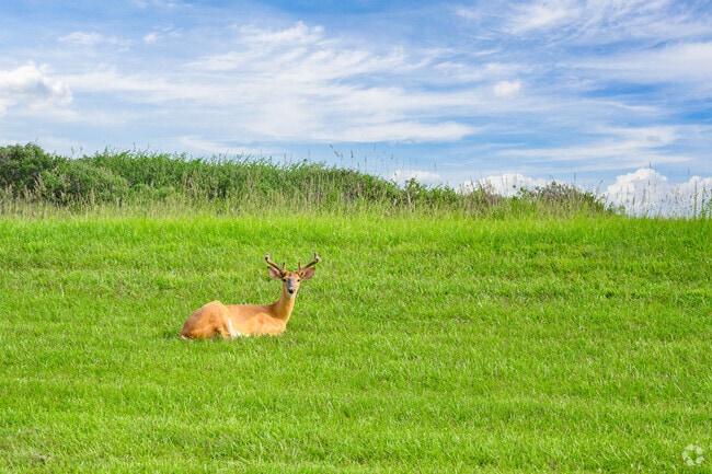Penhook is a protected wildlife area.