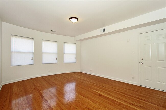 8238 S Ellis Ave Chicago, IL 60619, Chicago, IL 60619 - photo 4