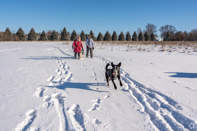 Dogs will leap for joy inside the off-leash area of Token Creek County Park.