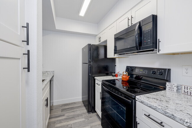 2BR, 1BA - 700SF - Kitchen