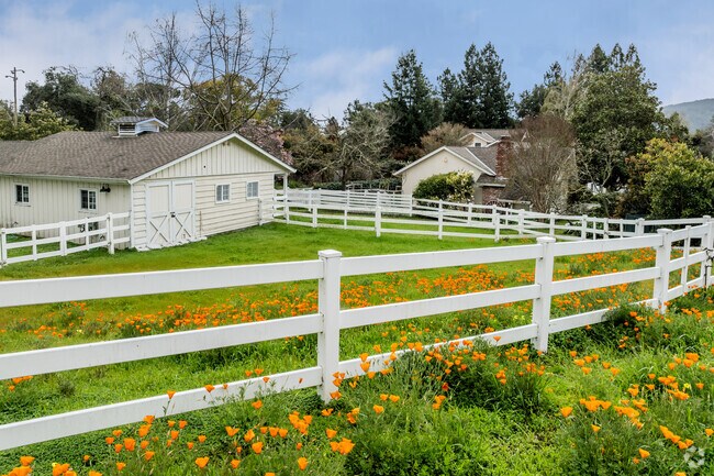 Wildflowers are abudanant in spring time in Woodside.