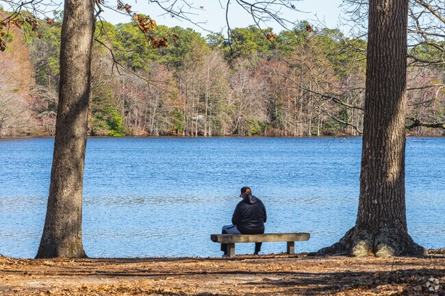 Take in the tranquil views of the pond at Trap Pond State Park.