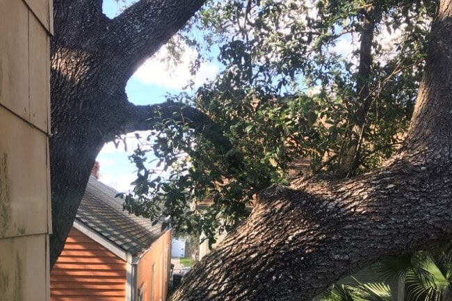 View from the upstairs window