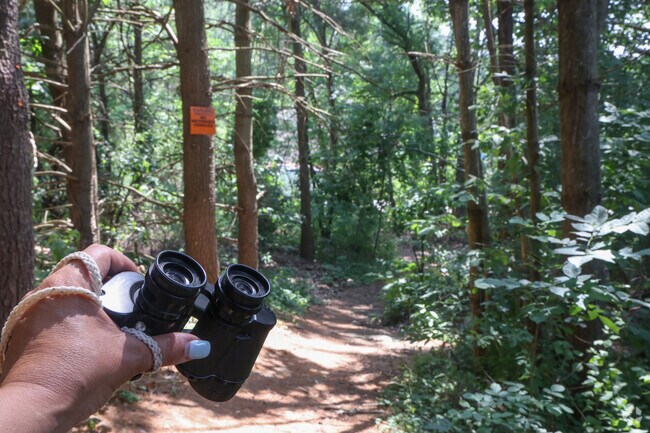 Search Pole Hill for Ballardvale's famous white squirrels.