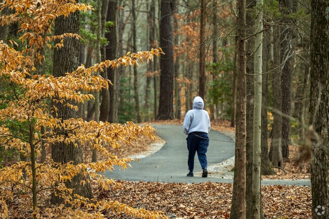 Chamberlayne's local parks offer miles of wooded walking trails to explore.