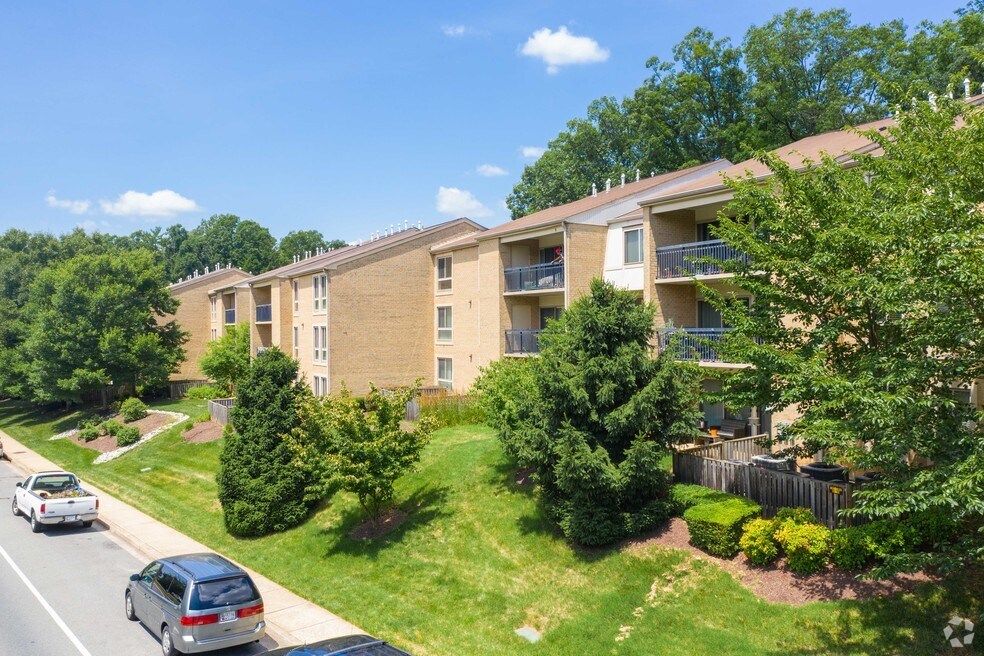 Amber Commons