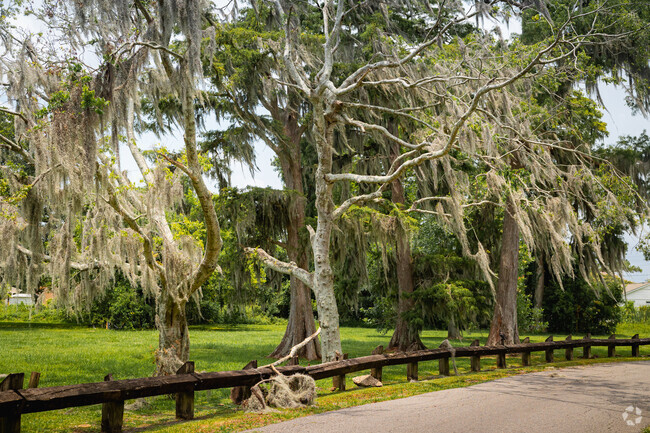 Moss adorns the nature scape of Behrman's parks.