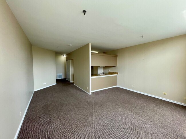 40 E Cedar St unit 15E, Chicago, IL 60611 - photo 2