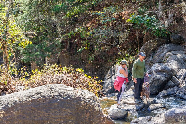 Bring your pup for a hike at Chewacla State Park near Moore's Mill.