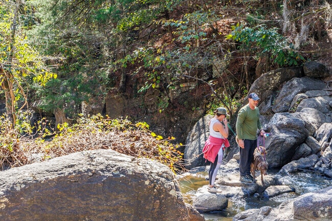 Bring your pup for a hike at Chewacla State Park near Pine Hills.