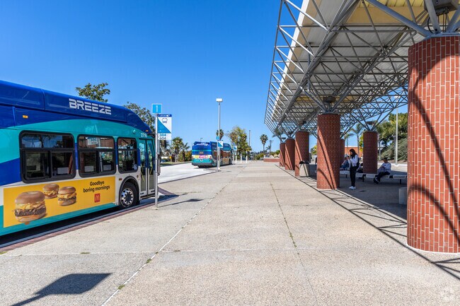 Public transportation is provided by MTS in Palomar Estates.