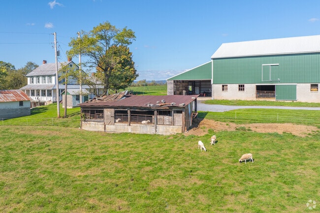 Livestock in Swatara is commonly seen outside neighboring farmhouses.
