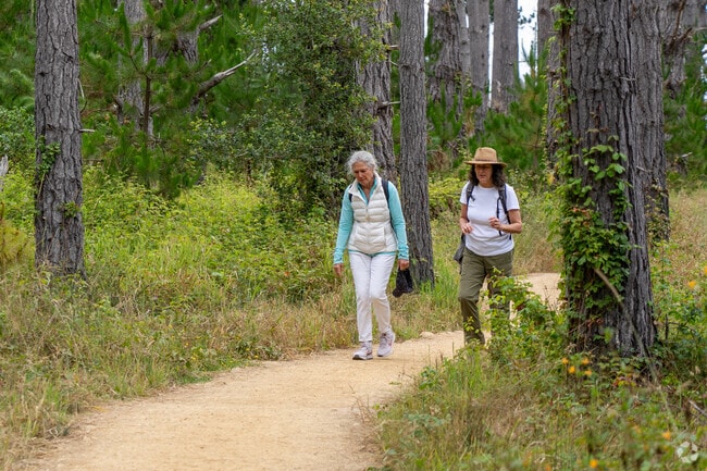 Hikers explore Pfeiffer Big Sur State Park, just west of Pine Canyon in California’s iconic coast range.