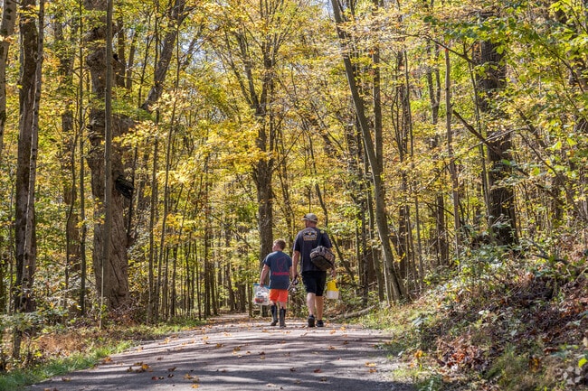 Jefferson offers stunning fall scenery with golden leaves for family walks.