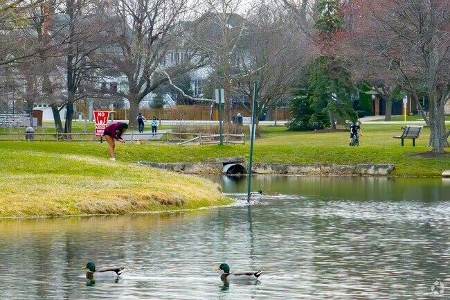 Prospect Park in Clarendon Hills has a large pond where wildlife can be seen.