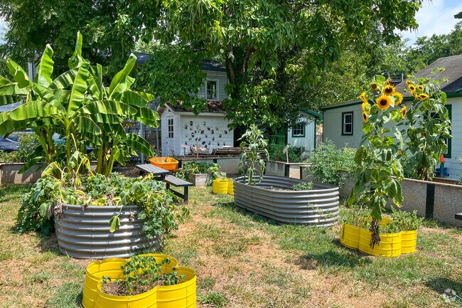 Flowers are planted each year in the community garden at Jenkins Park.