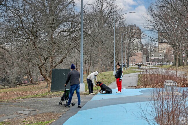 Olinville residents including the four legged ones love a beautiful day in Shoelace Park.