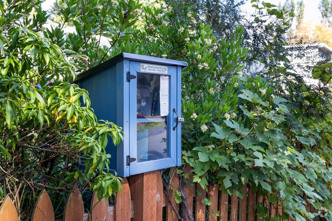 Tiny libraries dot the neighborhood of Esperance.