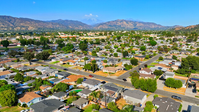 CP_Citrus_1025490_022525_P1_LB_V1