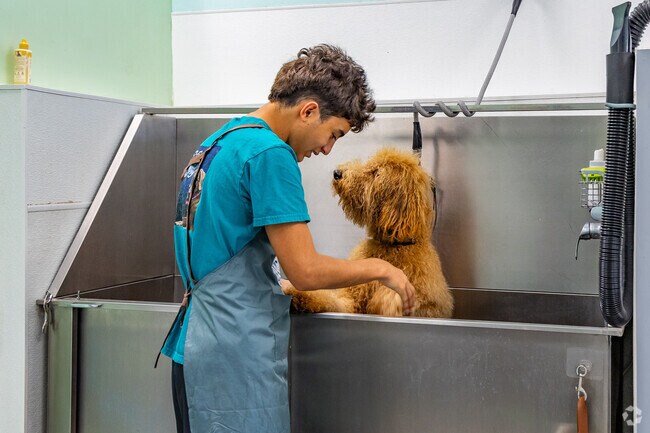Shiny Paws' staff in North Weeki Wachee offer local pups the attention that they deserve.