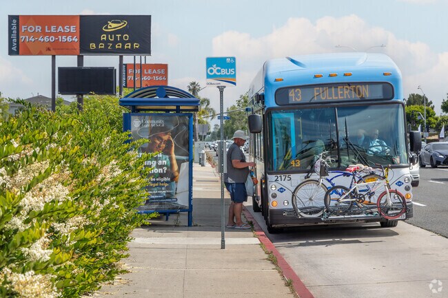 Several bus lines serve the area, offering connections to nearby cities and attractions.