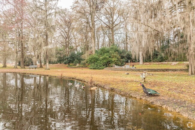 . The Edisto Memorial Gardens in Orangeburg attract nature lovers with scenic trails and river views.