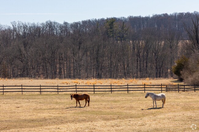 East Amwell’s history is closely tied to horse farming.