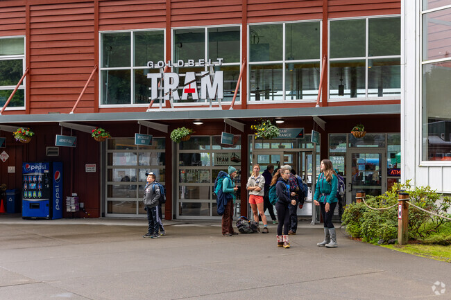 Ride the Goldbelt Tram up 1,800 feet to Mount Roberts for panoramic views of Downtown Juneau.