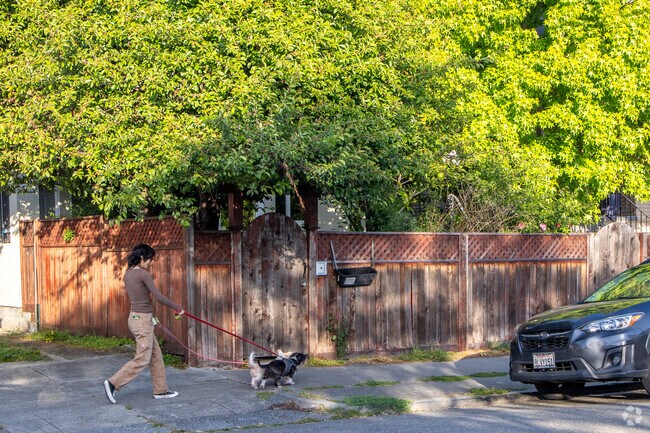 You can often find locals taking their pets for a walk in Bushrod, CA.