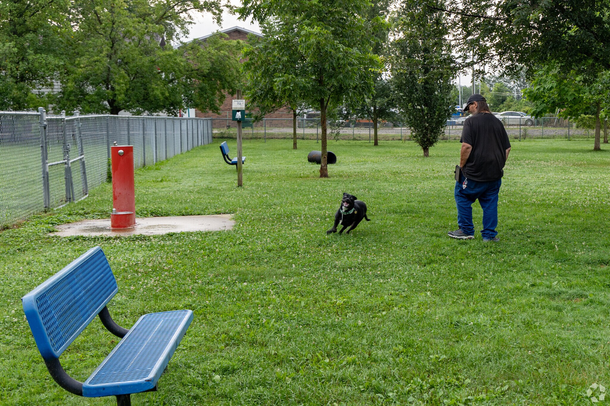 Mohr Park has a dog park for Cedar Crest residents.