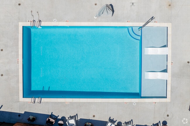 Reserve at West T-Bone, Greeley, CO 80634 - photo 6