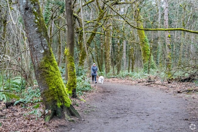 Island Point residents can walk the Fleury Trail that cuts through the neighborhood with amazing wooded areas.