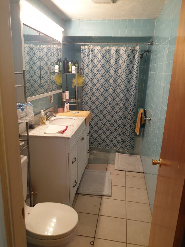 231 High St unit 1, Brookline, MA 02445 - photo 6