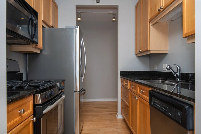 301 W Ohio St unit 1004, Chicago, IL 60654 - photo 5