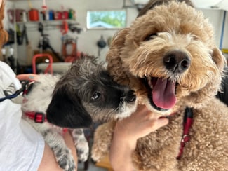 405 S Hine Ave, Waukesha, WI 53188