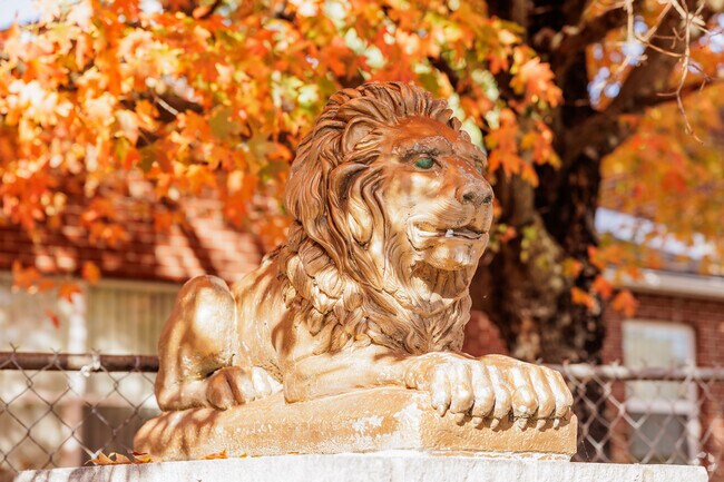 Details reveal the unique choices homeowners make in Fairview.