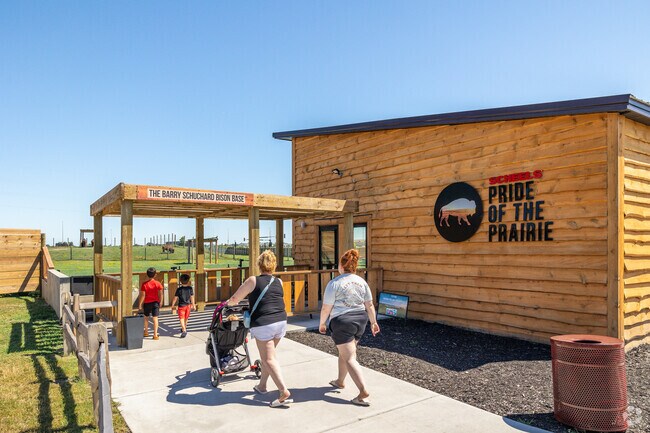 Check out the Bison at the Pride of the Prairie at the Red River Zoo near Pointe West.
