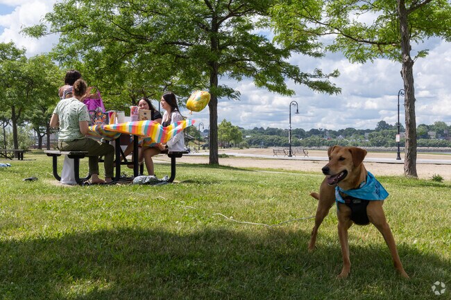 Dorchester Bay beaches welcome picnics and calm swims.
