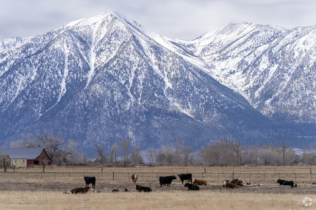 Gardnerville Ranchos has a giant agriculture footprint, with many residences built for livestock.