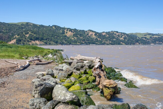 Vine Hill sits adjacent to Martinez Shoreline Park and offers a quiet place to sit with nature.