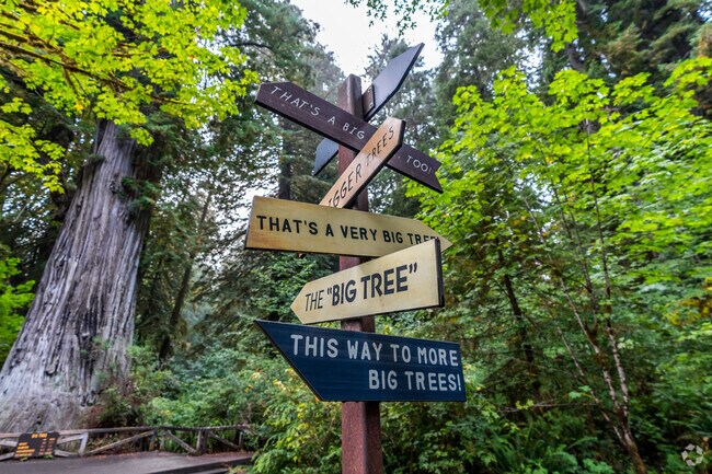 Redwood National Park is a popular attraction 15 minutes from Orick.