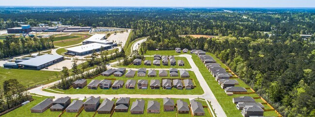 Moran Ranch Wildflower II Collection