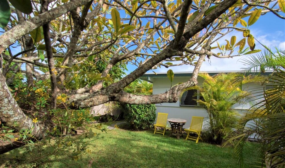 Gorgeous Garden to have your morning coffee