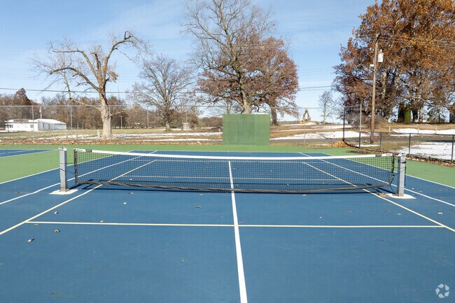 Challenge a friend to a tennis match at Peters Park in Watseka.