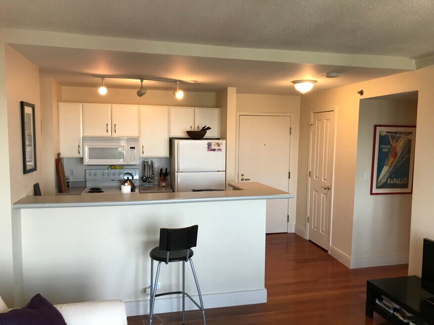 The Charlesview unit 1002, Boston, MA 02215 - photo 1