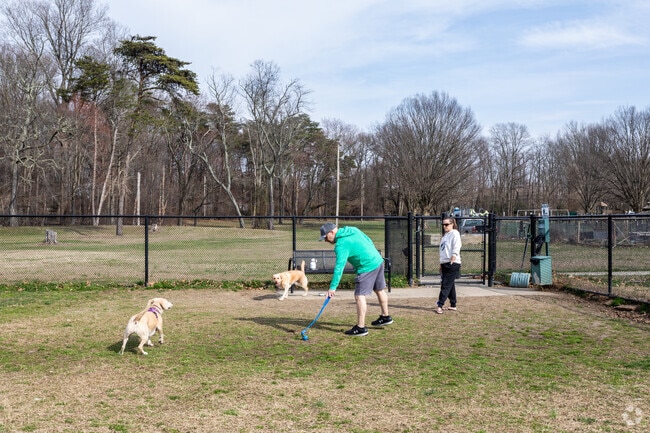 Take your dogs to the dog park at Lumberton Village Green.