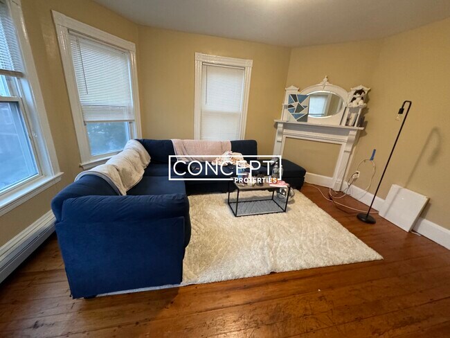 44 Hillside St unit 3, Roxbury Crossing, MA 02120 - photo 4