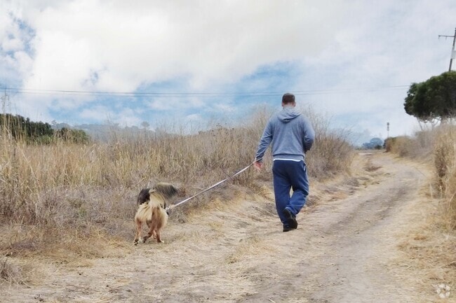 East Goleta Valley has many great trails to take a walk.