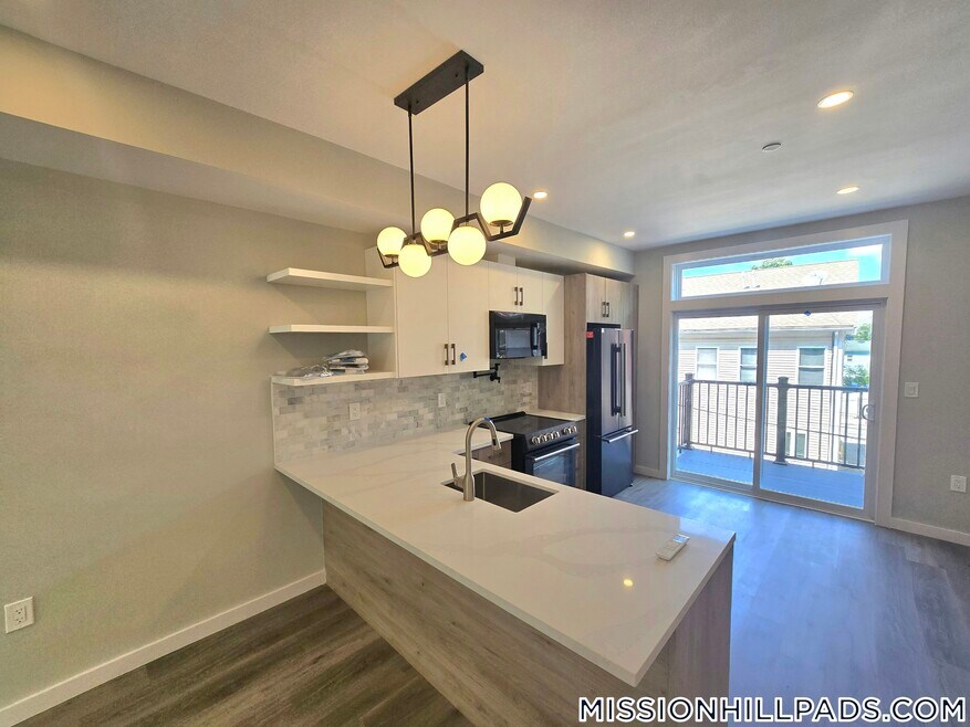 33 Copeland St unit F, Boston, MA 02119 - photo 1