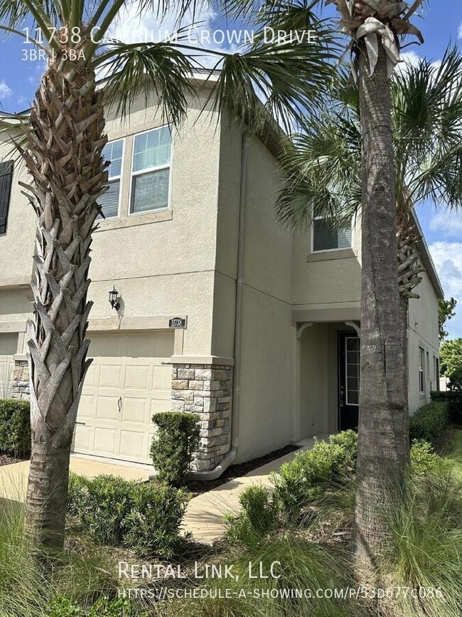 11738 Cambium Crown Dr, Riverview, FL 33569